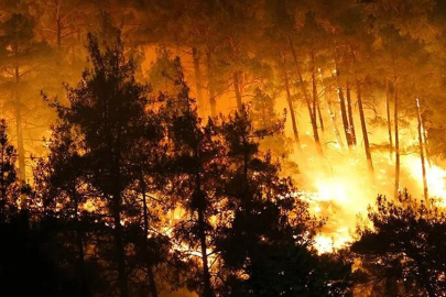 Kahramanmaraş'ta Fırnız Yangını Kontrol Altına Alındı!